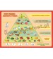 Piramida żywienia dla dzieci