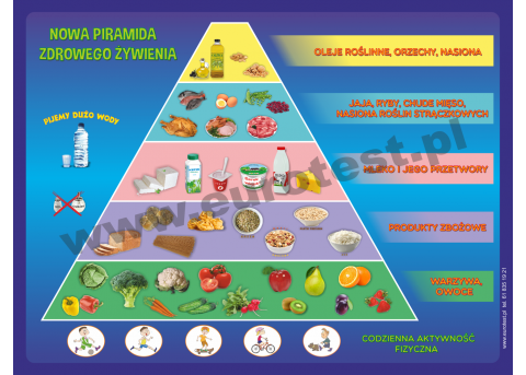 Nowa, magnetyczna piramida żywienia dla dzieci (80cm x 60cm)